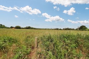 PERRY LANE- click for photo gallery